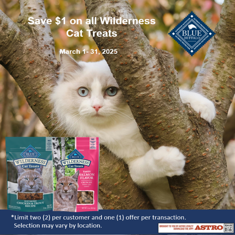 Promotion Image