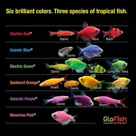 Glofish
