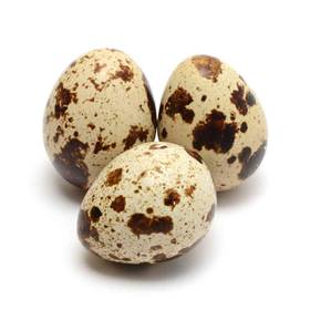 Quail Egg