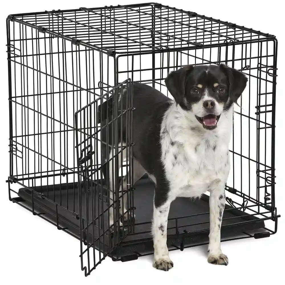 Large dog crate 42x28x30 cheap