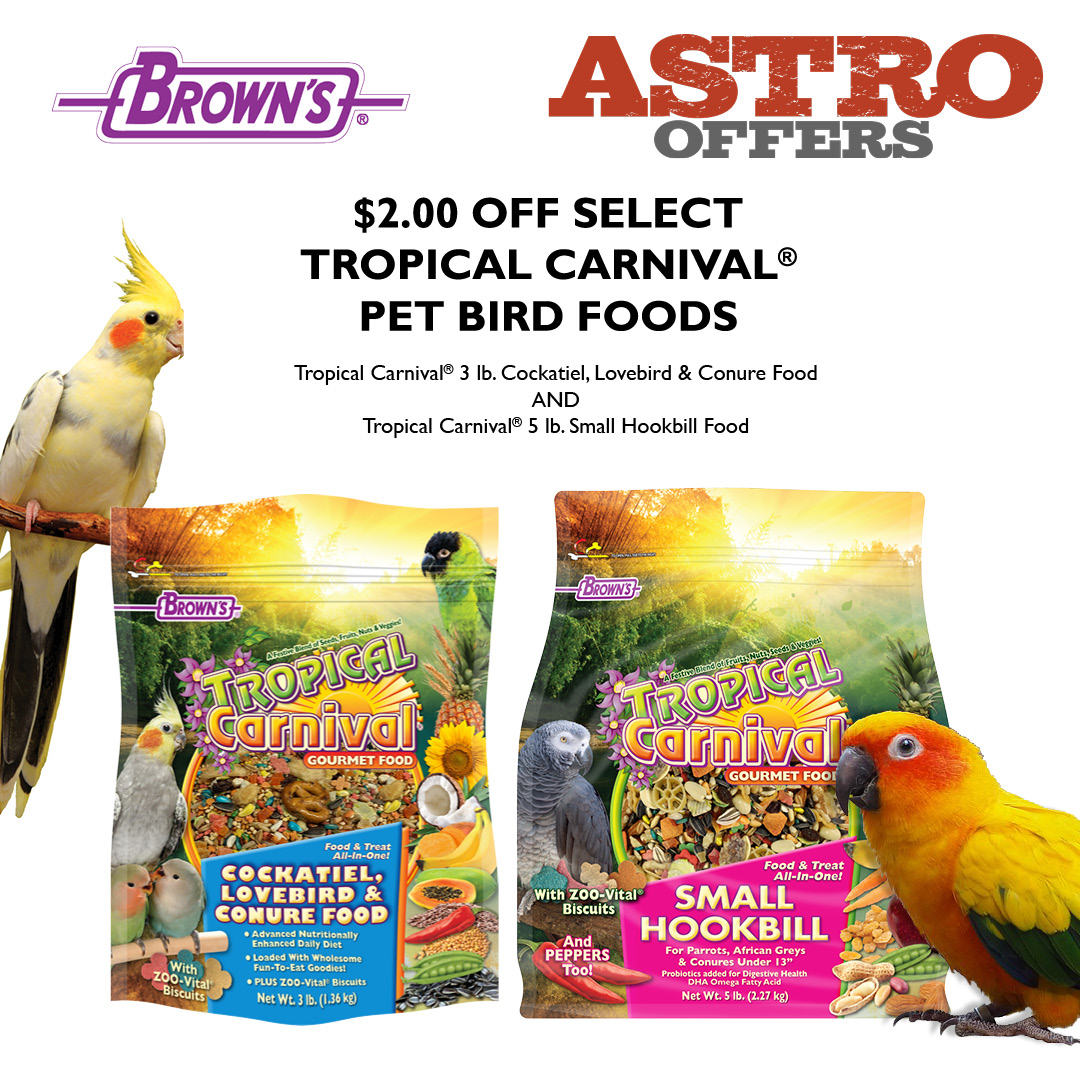 Promotion Image
