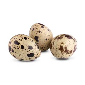 Quail Egg